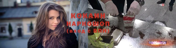 стаф Балахна