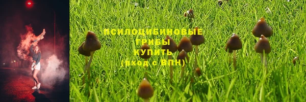 мет Богданович