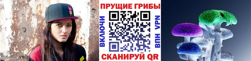 Псилоцибиновые грибы Cubensis Купить где Саянск
